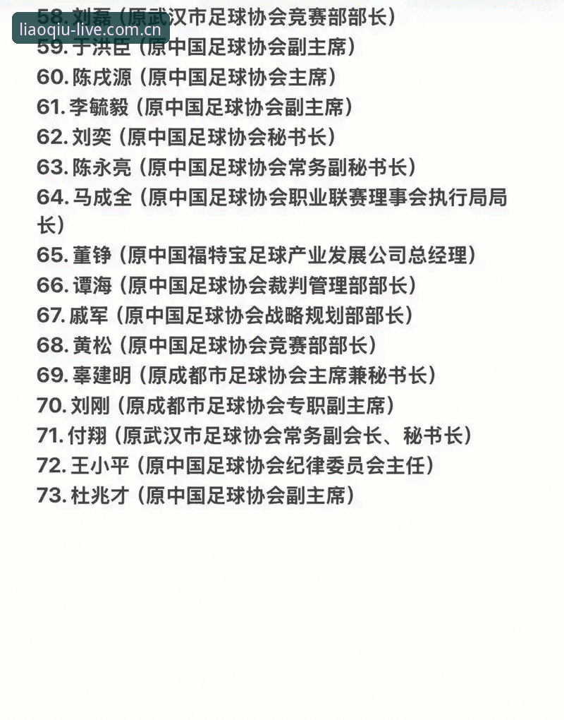 聊球官网 中国足协第三批禁足名单全面解析:17人终身禁赛背后的行业整顿与治理深意